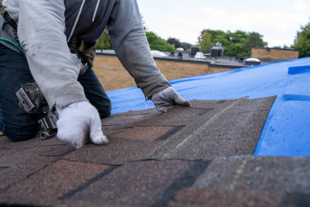 Quick and Trustworthy Emergency Roof Repair Services in Terra Alta, WV